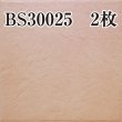 画像5: 岩石調タイル BS10025+BS30025 300角【10枚/1箱】 (5)
